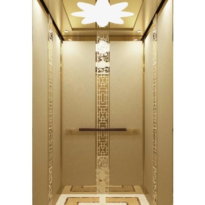 Pitless MRL Hydraulic Elevator for Home & Low-Rise Buildings