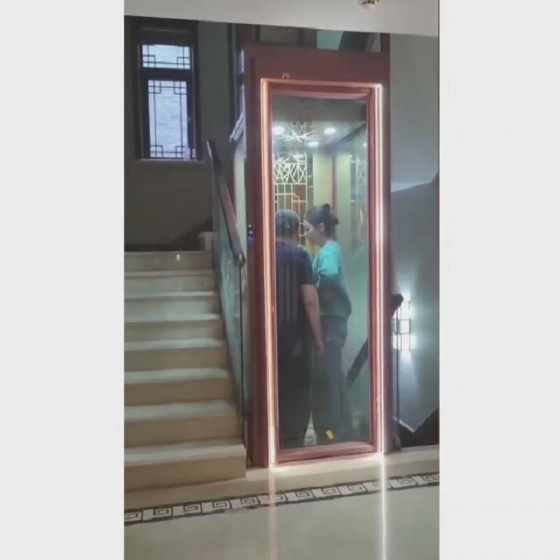 Claybank Home Elevator 0.2-0.4 M/S Center Opening Stainless Steel / Aluminium Frame