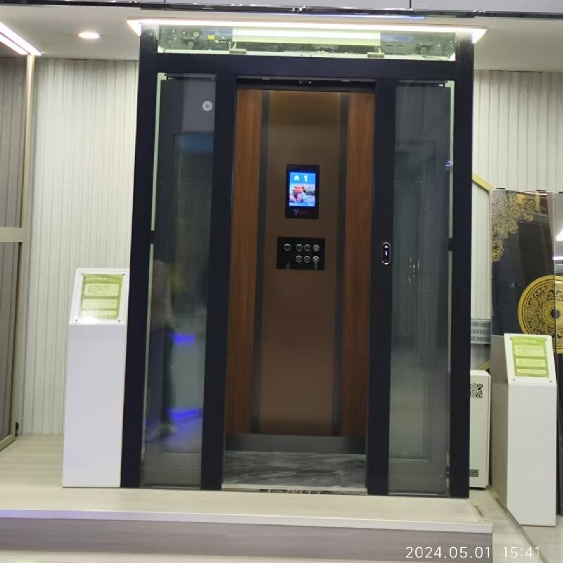 Elegant Home Gearless Traction Elevator 500-1000 Kg Capacity Automatic Sliding Door