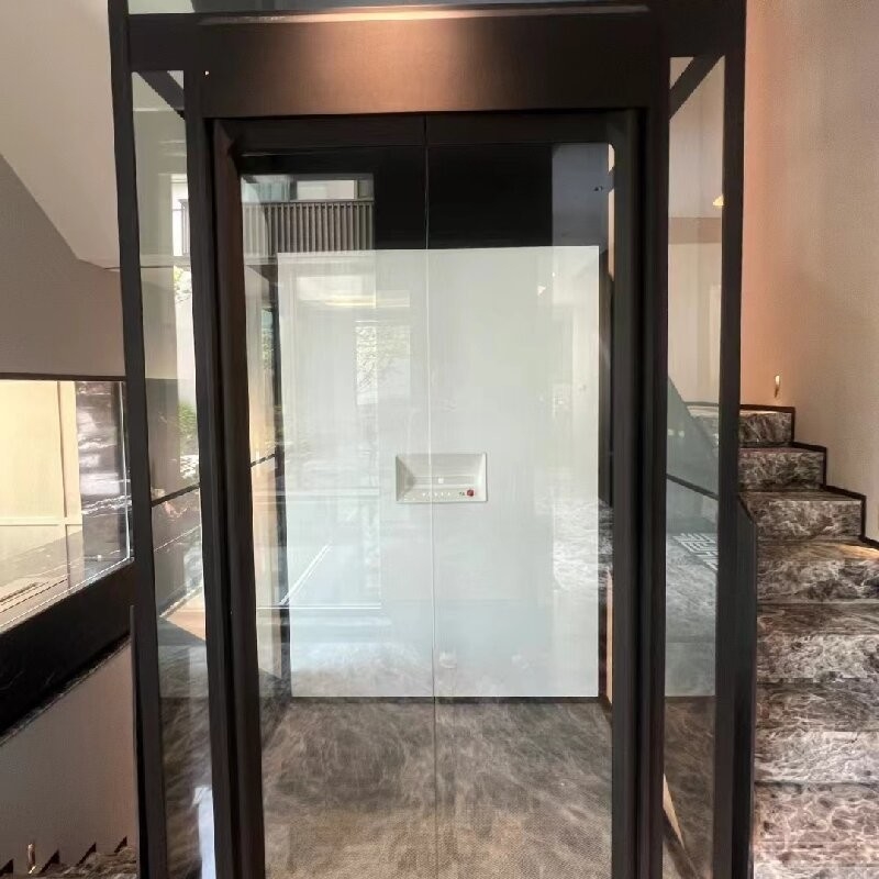 Spacious And Tranquil House Elevator With Advanced Safety Features traction type elevators