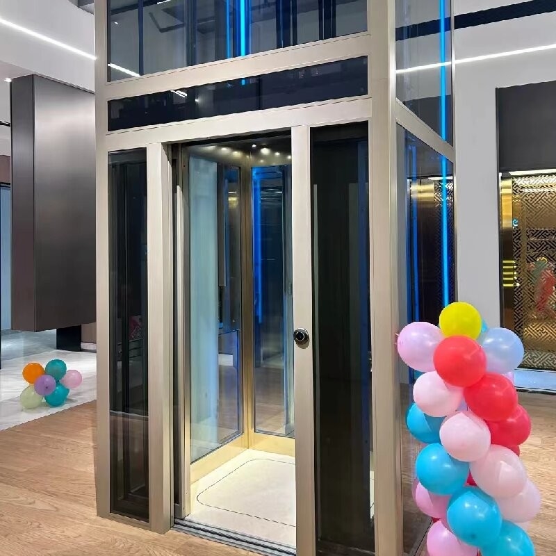 Spacious Modern Traction Home Lift Elevator With Advanced Safety Features And Sliding Doors