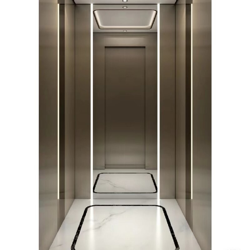 Single Phase AC Residential Hydraulic Elevators With 2.9M Large Cylinders For Deck Floor