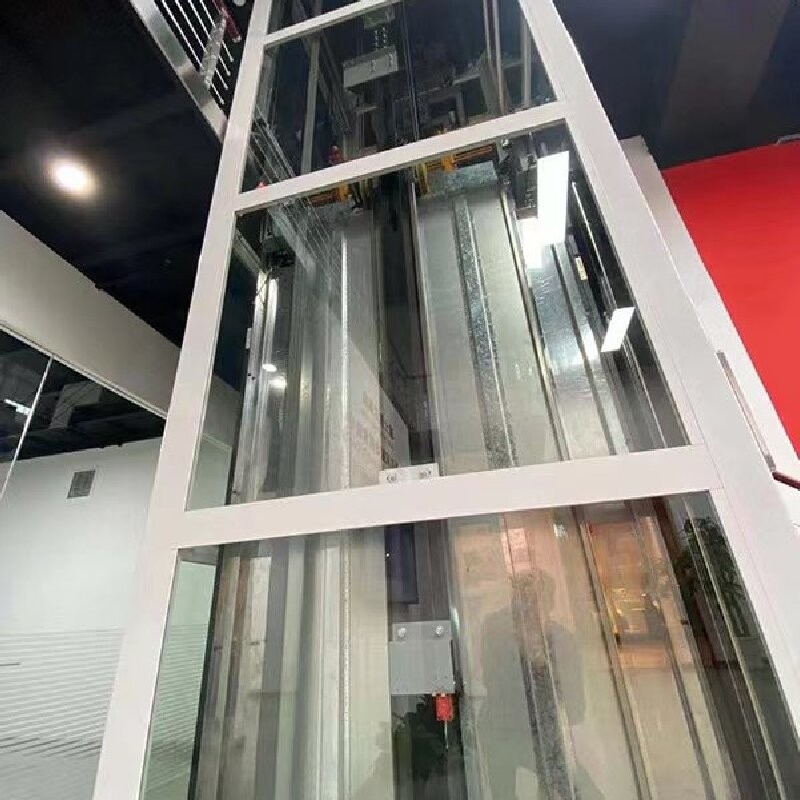 Compact Screw Driven Home Elevator with Travel Height up to 15M and Speed 0.15M/S