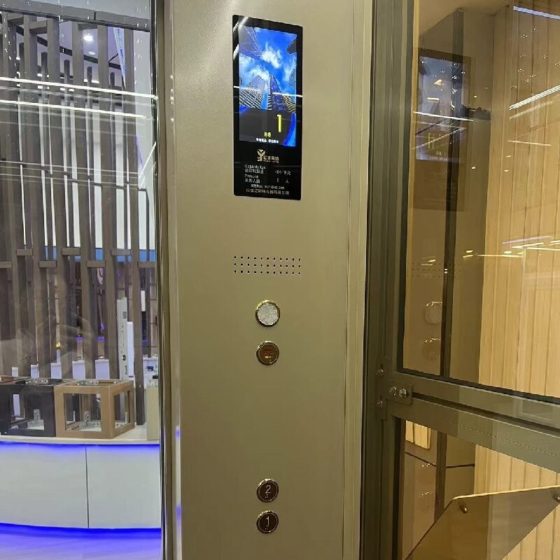 Ultra Quiet Traction Home Elevator With 0.6 M/s Speed And Automatic Sliding Doors
