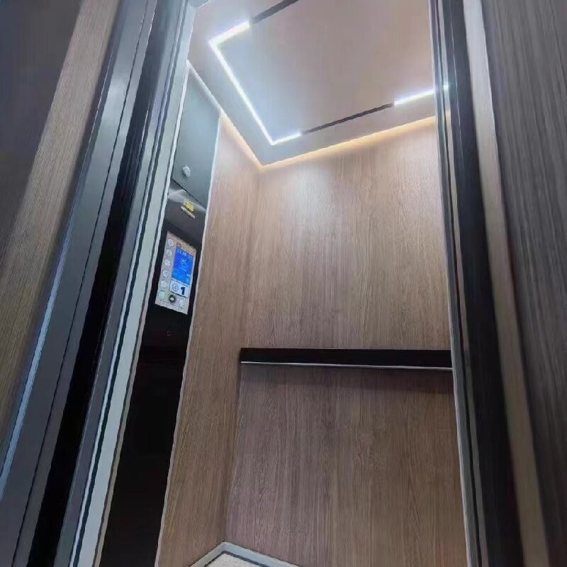 5Stops Hydraulic Lift For Home Size Microprocessor Controller In Low Headroom Aluminium Platform Lifts