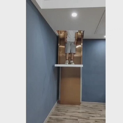 More Economic Naked Cabin Hydraulic Home Elevator 0.25 M/S Speed