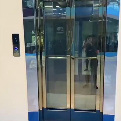 Stainless Steel Traction Compact Residential Elevators 0.6 M/S Speed